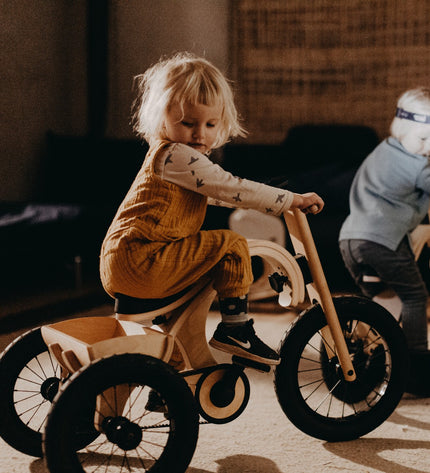 Tricycle Add-on for the leg&go Balance Bike 3in1