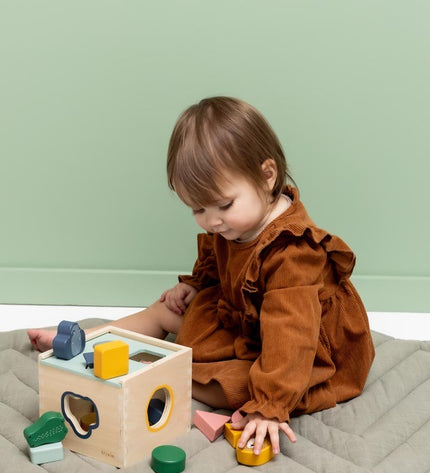 Wooden Shape Sorter